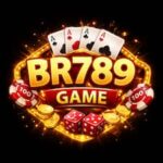 BR789 Game