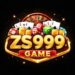 ZS999 Game