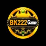 BK222 Game