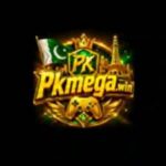 PLMEGA Game