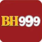 BH999 Game