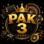 PAK 3 Game